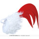 SET COQ