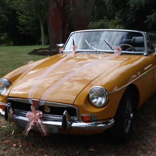 KIT DECO VOITURE ROSE POUDRE