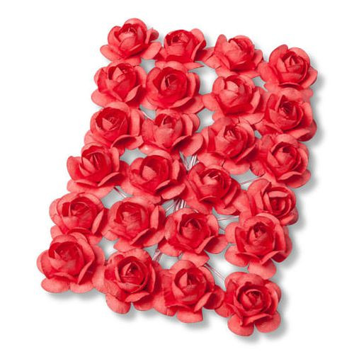 24 ROSES CORAIL 2.1CM