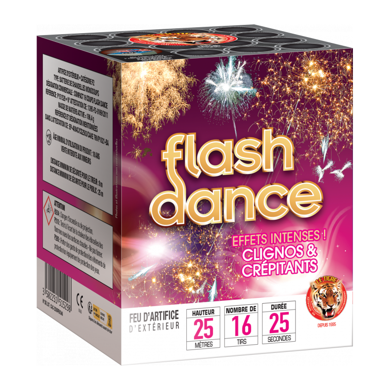 COMPACT FLASH DANCE 16 COUPS