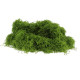 MOUSSE VEGETALE SYNTHETIQUE