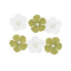 6 FLEURS PAPIER VERT PISTACHE