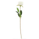 BRANCHE DE ROSE BLANCHE 70CM