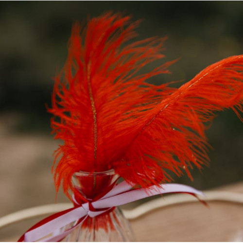 6 PLUMES ROUGE/PAILLETTE OR