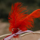 6 PLUMES ROUGE/PAILLETTE OR