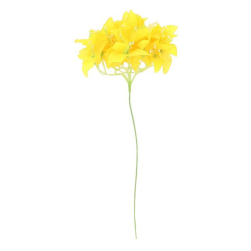 BRANCHE DE BOUGAINVILLIER JAUNE