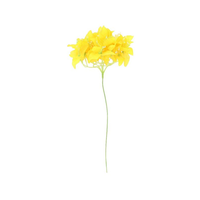 BRANCHE DE BOUGAINVILLIER JAUNE
