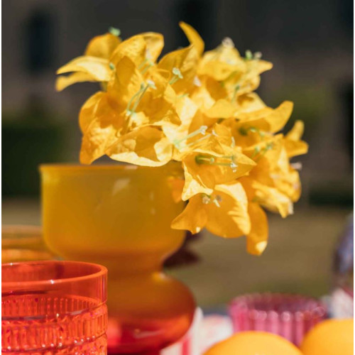 BRANCHE DE BOUGAINVILLIER JAUNE