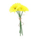 BOUQUET 3 GERMINIS JAUNE