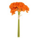 BOUQUET 6 OEILLETS ORANGE