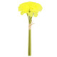 BOUQUET 6 OEILLETS JAUNE