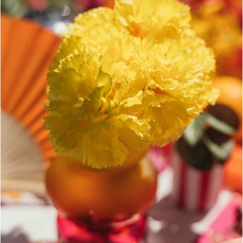 BOUQUET 6 OEILLETS JAUNE