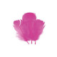 SACHET PLUMETTES FUCHSIA 5 GR