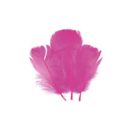 SACHET PLUMETTES FUCHSIA 5 GR