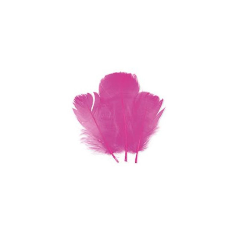 SACHET PLUMETTES FUCHSIA 5 GR
