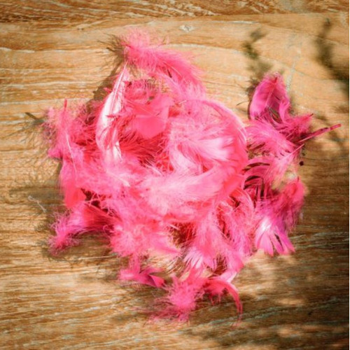 SACHET PLUMETTES FUCHSIA 5 GR