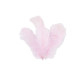 SACHET PLUMETTES ROSE 5 GR