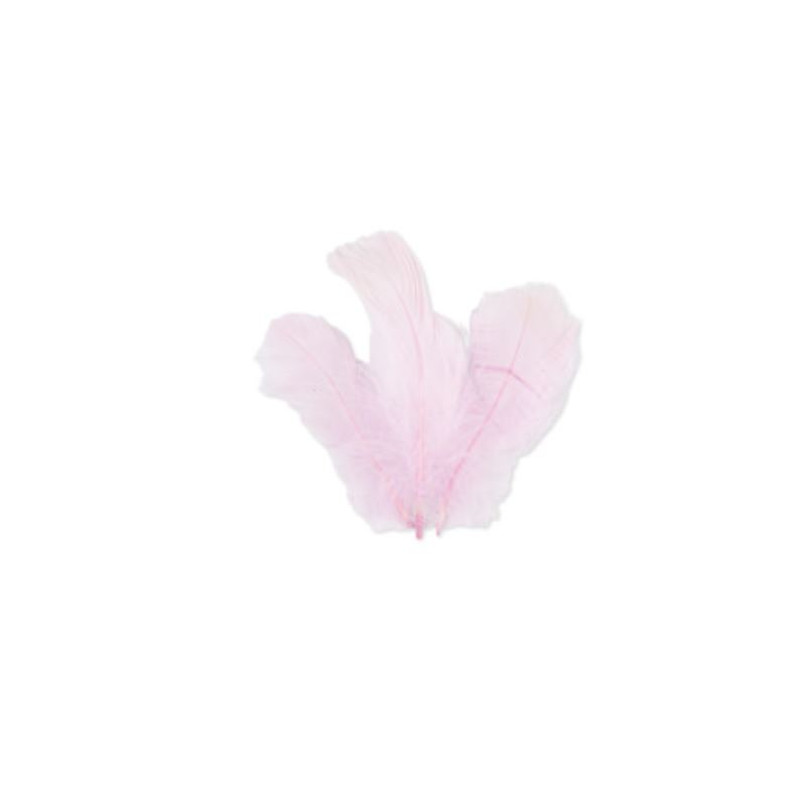 SACHET PLUMETTES ROSE 5 GR
