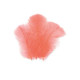SACHET PLUMETTES CORAIL 5 GR