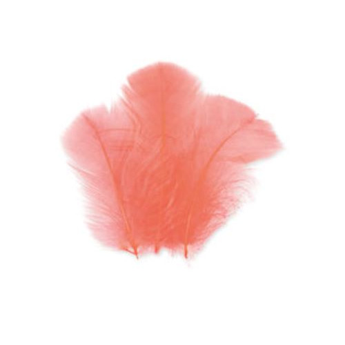 SACHET PLUMETTES CORAIL 5 GR