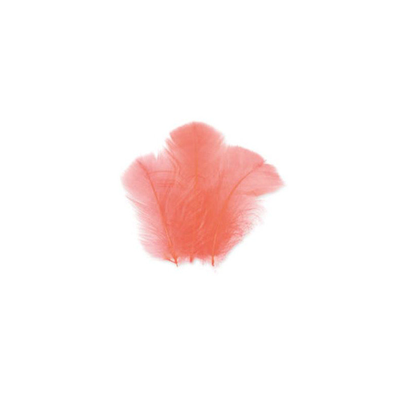 SACHET PLUMETTES CORAIL 5 GR