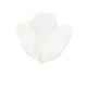 SACHET PLUMETTES BLANCHES 5 GR