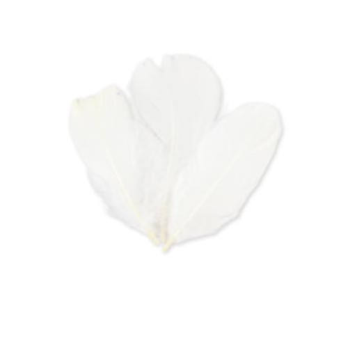 SACHET PLUMETTES BLANCHES 5 GR