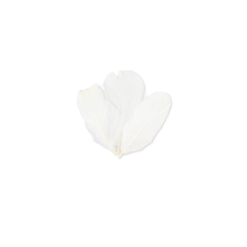 SACHET PLUMETTES BLANCHES 5 GR
