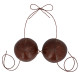 SOUTIEN-GORGE NOIX DE COCO