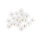 24 MARGUERITES VELOURS BLANC