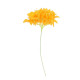 BRANCHE DE BOUGAINVILLIER ORANGE