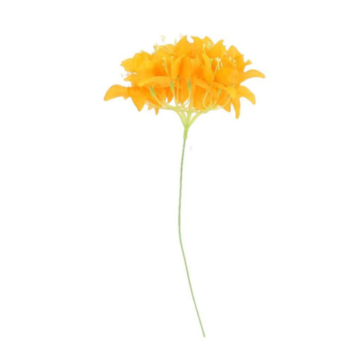 BRANCHE DE BOUGAINVILLIER ORANGE
