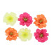 6 FLEURS DE CERISIER FRAMBOISE, ORANGE ET JAUNE