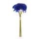 BOUQUET 6 OEILLETS INDIGO