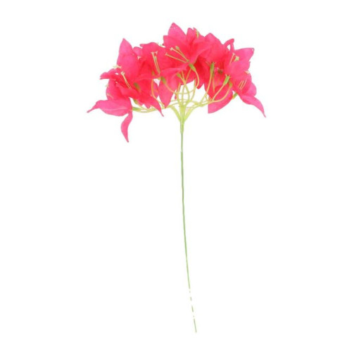 BRANCHE DE BOUGAINVILLIER FRAMBOISE