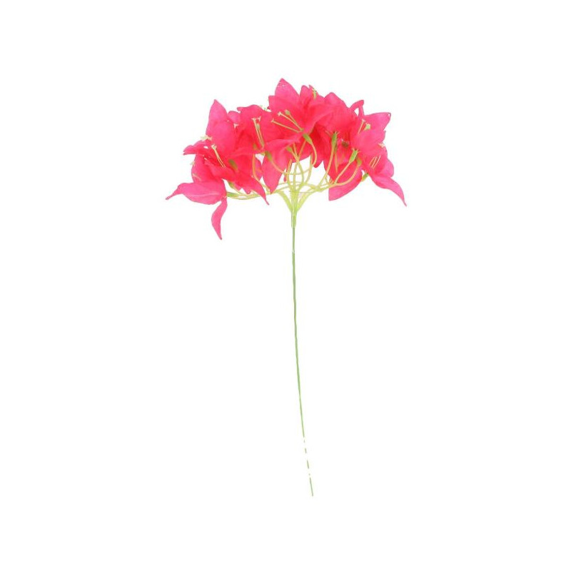 BRANCHE DE BOUGAINVILLIER FRAMBOISE