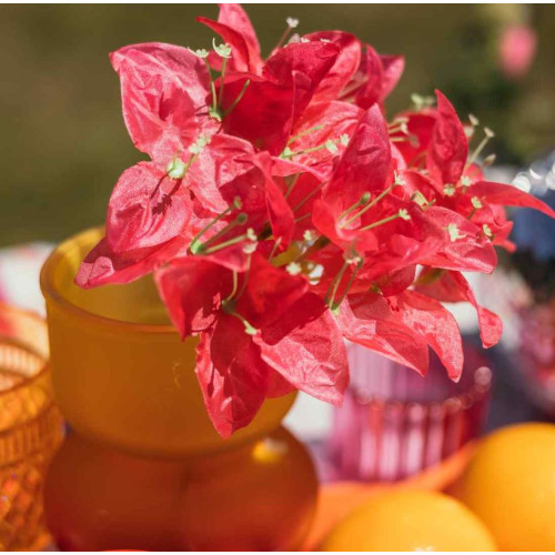 BRANCHE DE BOUGAINVILLIER FRAMBOISE