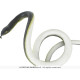 SERPENT DE 80 CM FIL NYLON