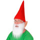 NAIN ROUGE (CHAPEAU, BARBE, OREILLES)