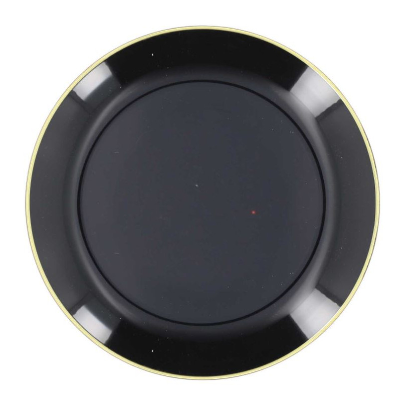 6 ASSIETTES ÉLÉGANCE - RÉUTILISABLE