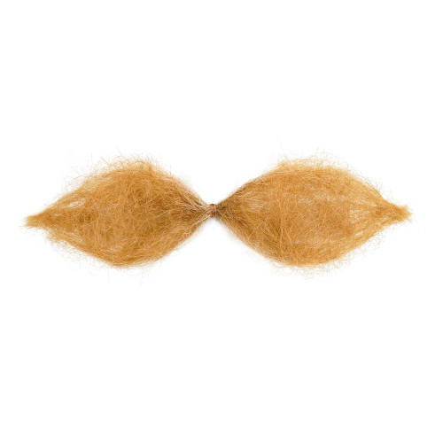 MOUSTACHE SCHNAUZER BLONDE