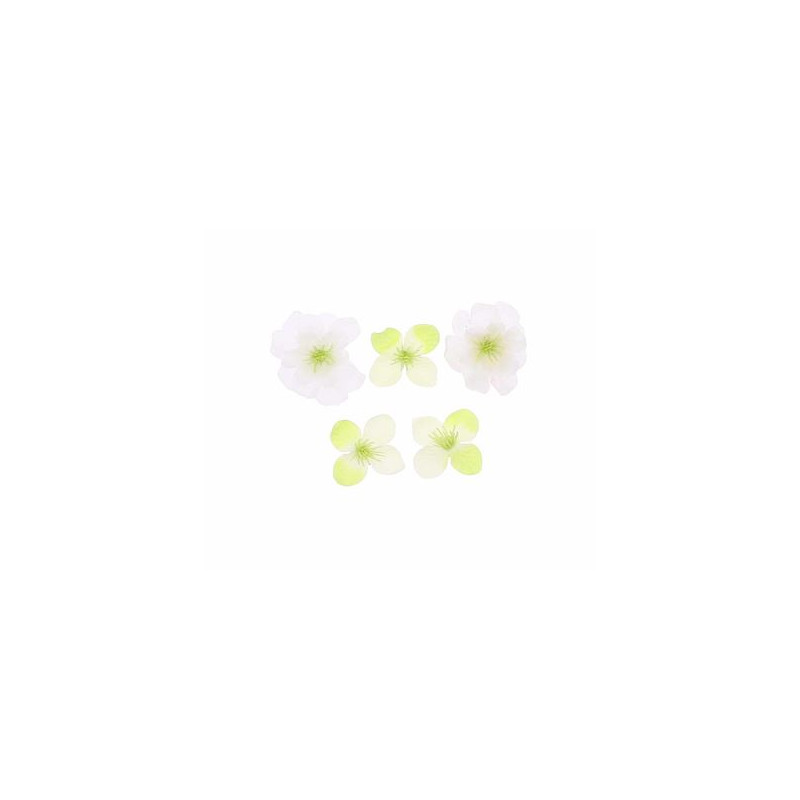 6 FLEURS DE CERISIER BLANC/VERT