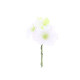 6 FLEURS DE CERISIER BLANC/VERT