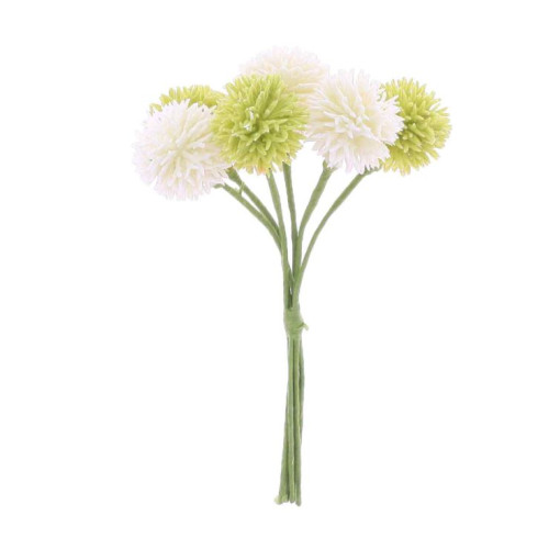 6 TRÈFLES DES PRÉS BLANC ET VERT