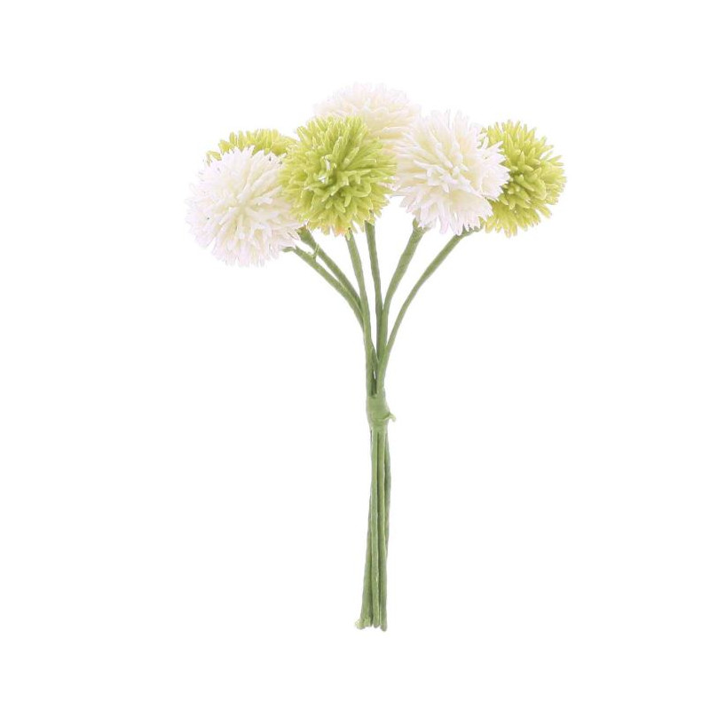 6 TRÈFLES DES PRÉS BLANC ET VERT