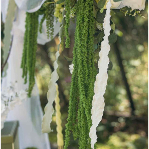 RUBAN BORDS ONDULÉS TISSU FROISSE BLANC