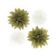 4 FLEURS DE DAHLIA PISTACHE/CREME
