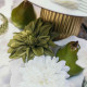 4 FLEURS DE DAHLIA PISTACHE/CREME