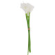 BOUQUET DE 4 ARUMS BLANC ET VERT