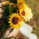 BOUQUET DE TOURNESOL